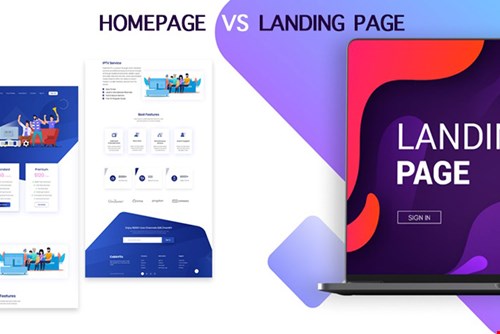 Landing Page vs Website: What Are The Differences?