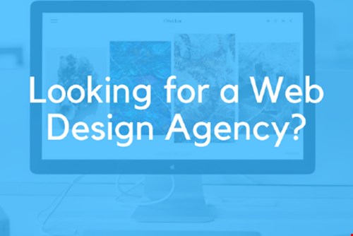 How to Choose a Web Design Agency in 3 Steps